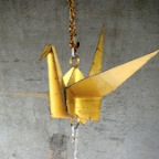 page14-1005-full.html